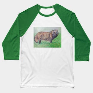 Raccoon dog Baseball T-Shirt